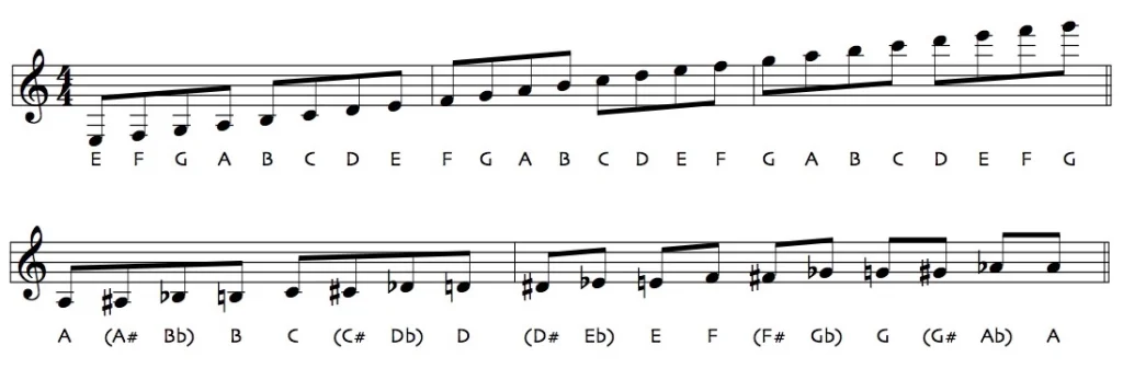 Common notation in music include musical staff, note values, clef signs