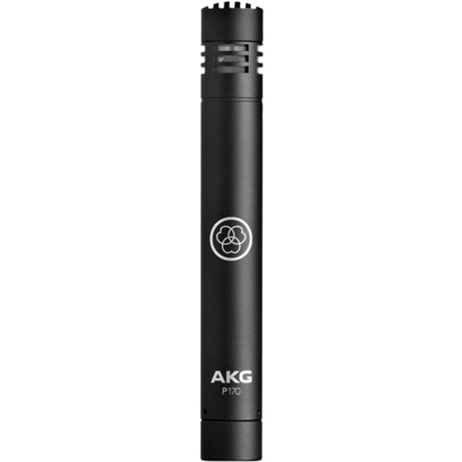 AKG P170 Pro Audio